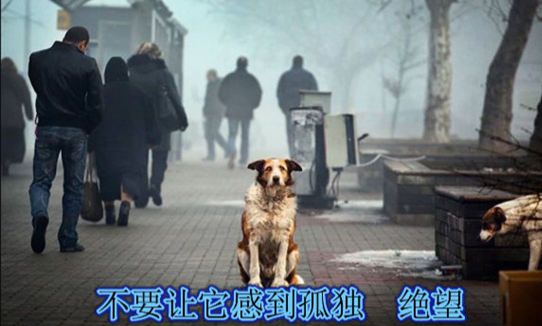 泉州泉州爱影圈微博微信转发案例